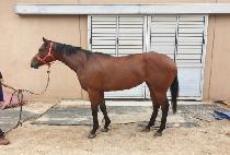 ��´�� (USEUNG DAERO) ����