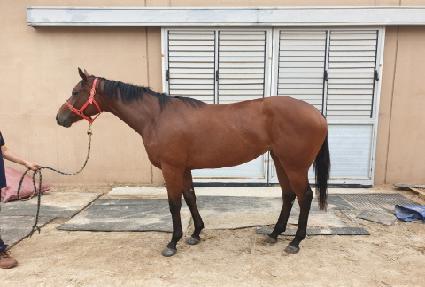 ��´�� ����