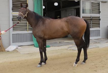 ���̻� ����