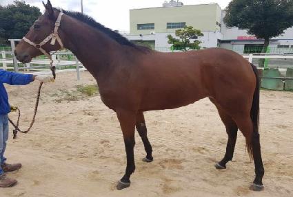 �������� ����