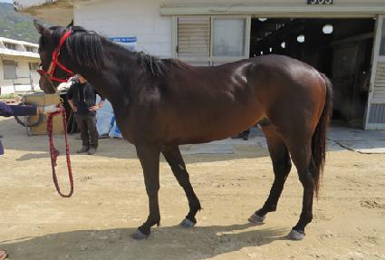 ���� ����