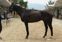 Ŭ����Ʈ (CLEAN HEART) ����