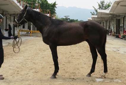 Ŭ����Ʈ ����