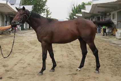 ���������� ����