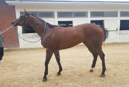 �����̽ø� ����