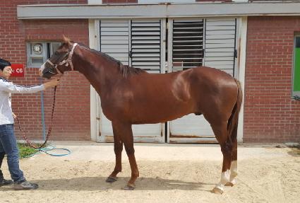 ���Ͻ��Ŀ� ����