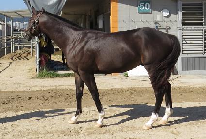 ȸ�� ����