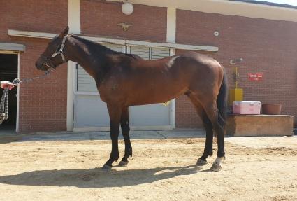 �ٺ���Ÿ ����