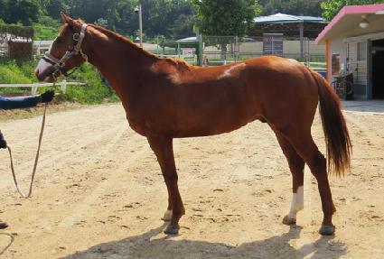 ����Ÿ���� ����