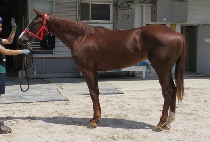 �󺻶� ����