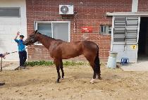 �������� (FOR YOU LOVE) ����