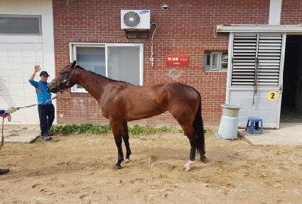 �������� ����