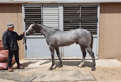 �������丮 ����