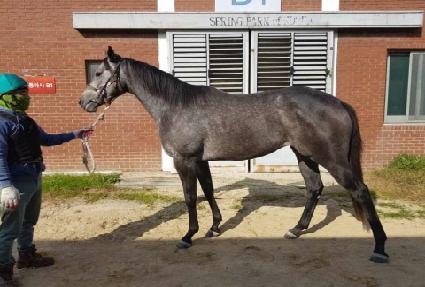 ������ ����