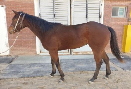 �ٽ��� ����