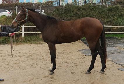 �ִ�Ƽ�� ����