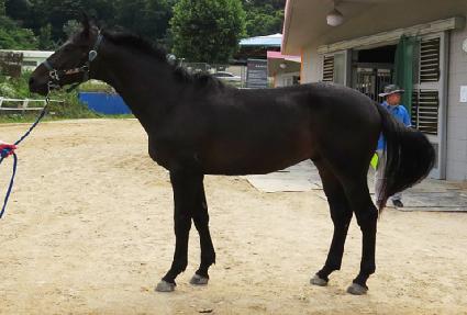 ����Ȧ�� ����