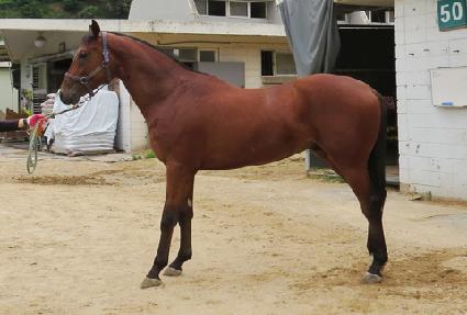 �׶��ǵ� ����