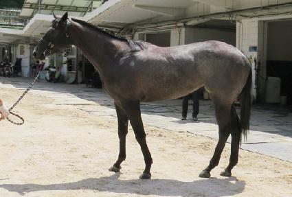 �����۷θ� ����