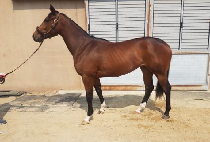 �轺�� ����