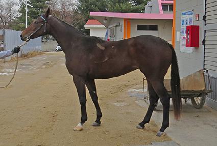 ��δ��̾� ����