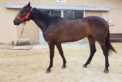 ���;ִ� ����