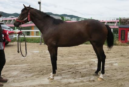 ������ũ ����