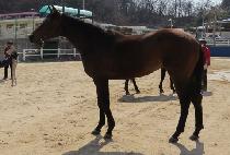 ���ù� (WISH ME) ����