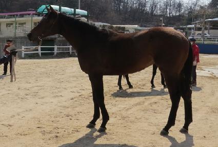 ���ù� ����