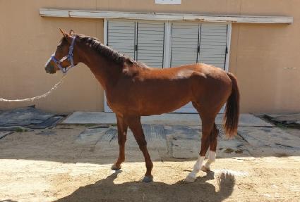 ���ǹٴ� ����