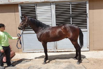 �����Լ� ����