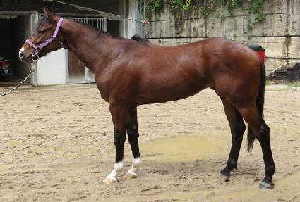 �۷ι���� ����