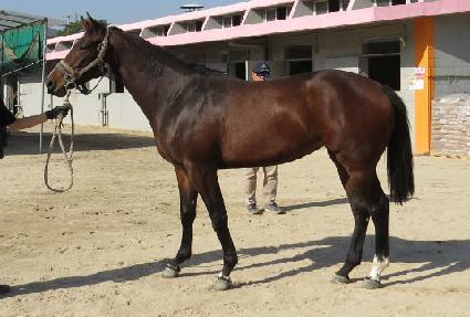 ����ȥ�� ����