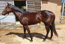 ���깫�� (NANSAN MUJEOK) ����