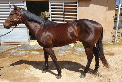 ���깫�� ����