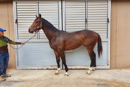 �ػ罺����� ����