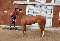 ����Ʈ���� (SMART YEONGUNG) ����