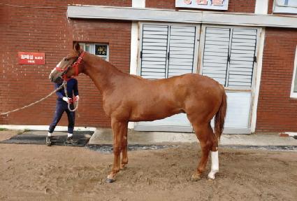 ����Ʈ���� ����