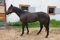 ��ƼǮ���� (BEAUTIFUL JILJU) ����