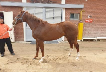 ������ ����