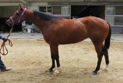 ���� ����