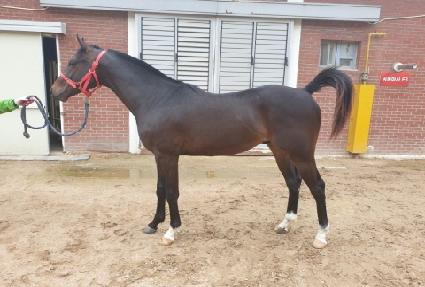 ��Ʈ�ڵ��� ����