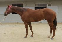 �������� (WANGINHAENGCHA) ����