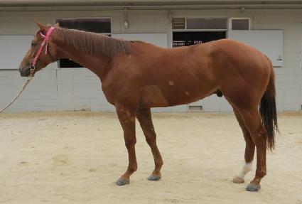 �������� ����