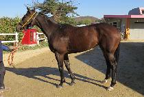 �������� (MACH JEIL) ����