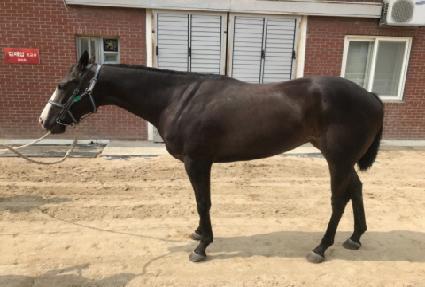 �׷���Ʈ�� ����