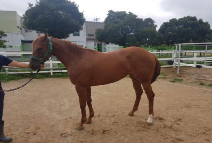 ���̺񺸽� ����