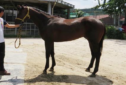 ���õ�� ����