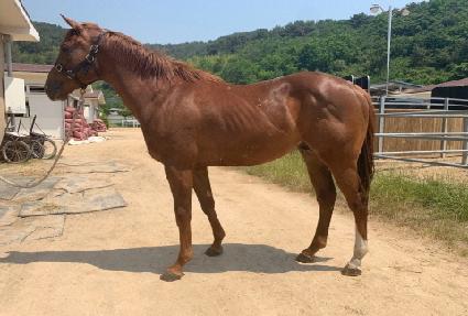 �����Ǹ��� ����