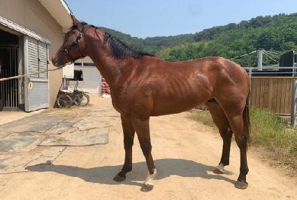 ���������� ����